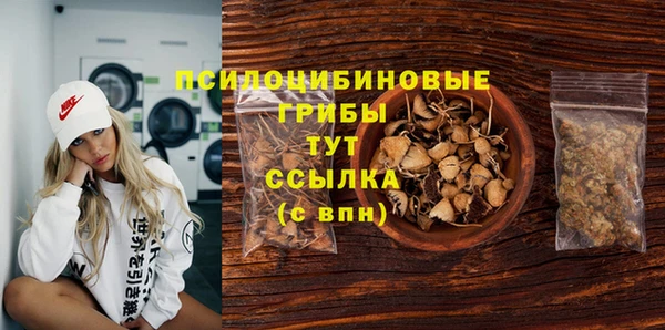 крисы Дмитриев