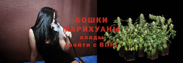 крисы Дмитриев