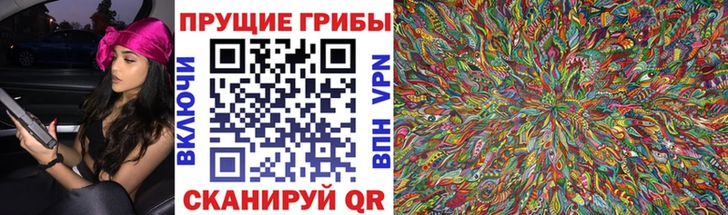 Галлюциногенные грибы мицелий  Купить  Павловский Посад 