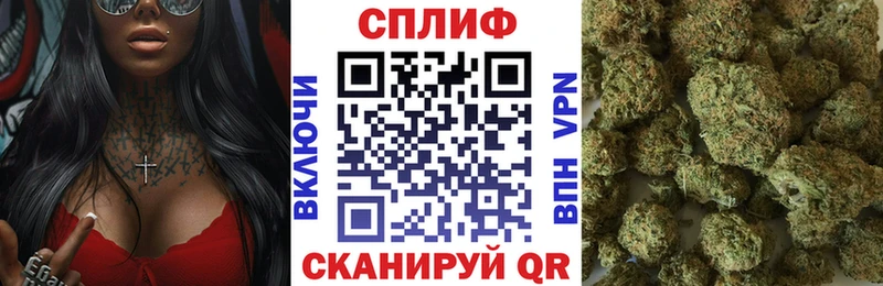 Купить где  Павловский Посад  Бошки марихуана планчик 